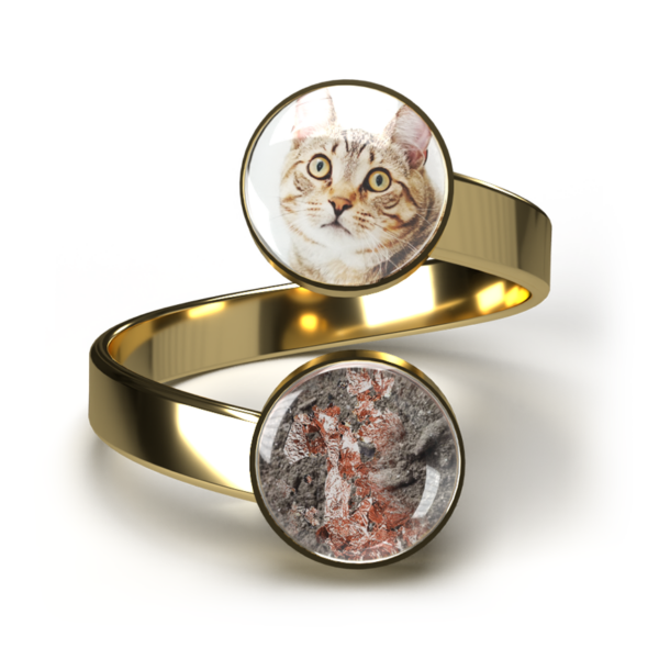 Doppel Haustier-Asche-Ring "Infinity" - Gold – Bild 3