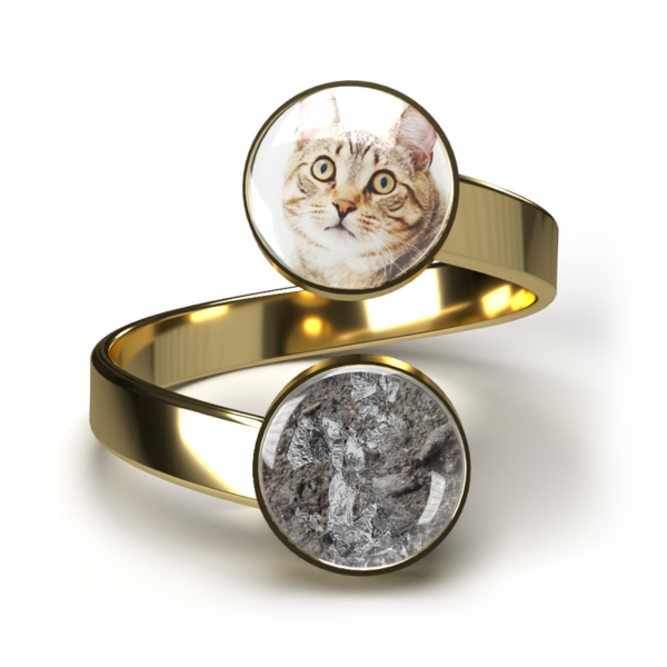 Doppel Haustier-Asche-Ring "Infinity" - Gold – Bild 2