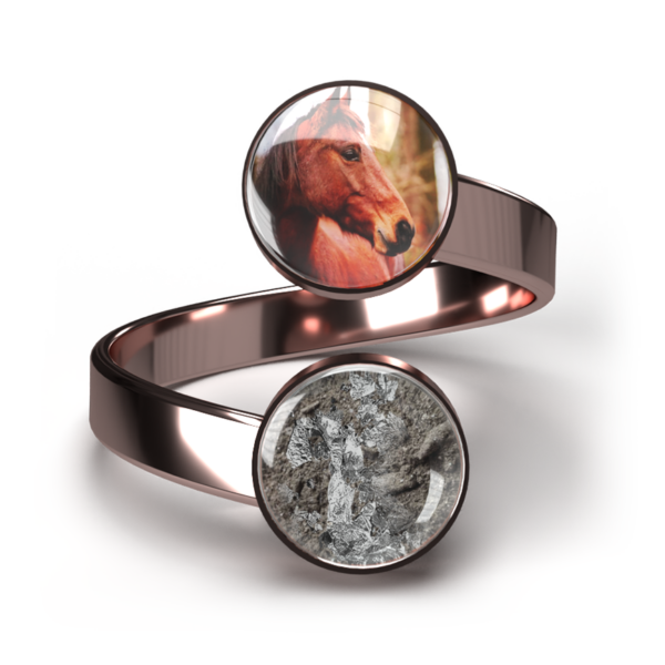 Doppel Haustier-Asche-Ring "Infinity" - Roségold – Bild 2