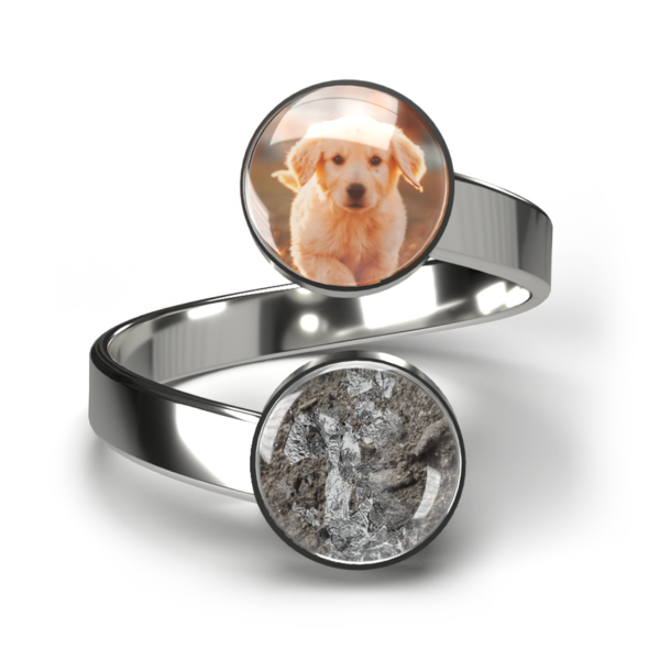 Doppel Haustier-Asche-Ring "Infinity" - Silber